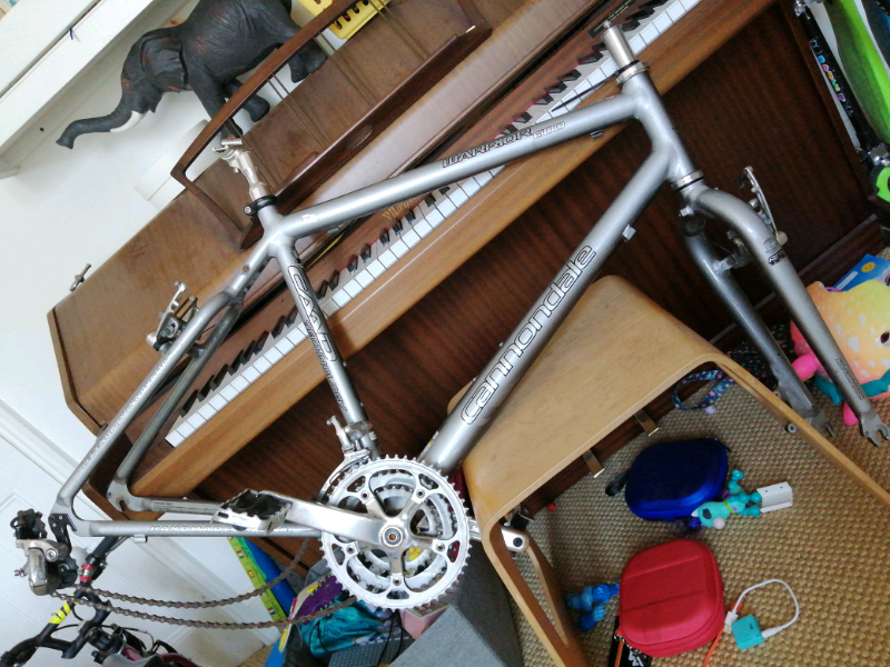cannondale warrior 600